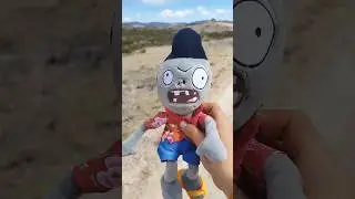 PAMPAUDOR CAMINANDO EN EL DESIERTO