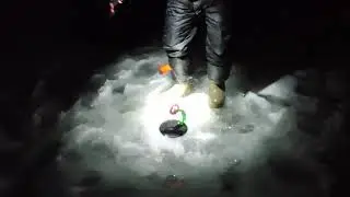 судак на жерлицы