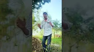 मोहल्ले की गर्लफ्रेंड 😂 || #shorts