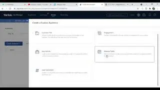TikTok7 - create custom audience