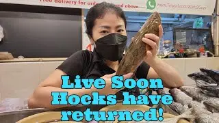 (4 Aug 2021 Wed) Live Soon Hocks (Marble Goby) are back!