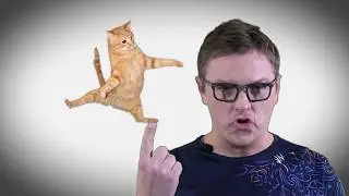 Роман Клячкин решил упрятать за решетку кота