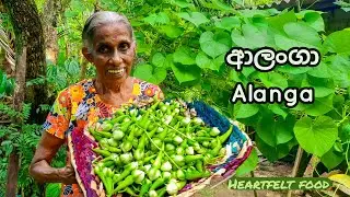 Aalanga - ආලංගා (Moonflower beans )