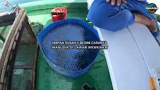 GAWAT !!! Gak Ada Umpan Ikan Hidupnya || Gak bisa mancing dong ! LIhat Ini Pasti Bisa