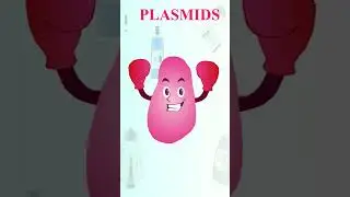 plasmids