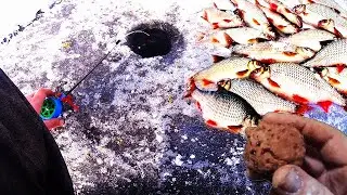 Дедовский метод насадки для рыбалки, рыбаки в Шоке.