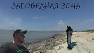 КОГО ВСТРЕТИЛ НА КОСЕ?ДЭЛЬМАР. РАССУЖДЕНИЯ О СЕДОВО