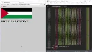 Free Palestine - Speed Coding Video