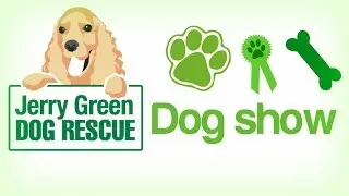 Jerry Green dog rescue dog show