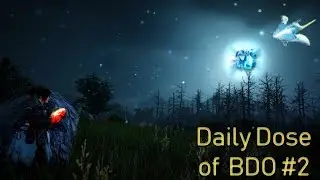 Red Shard from TRACES of the Ancient Seal | Daily Dose of BDO #2