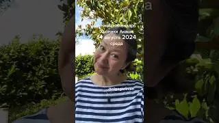 14 августа 2024 среда