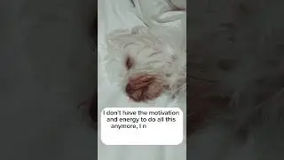 I don't have the motivation... #motivation #motivational