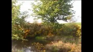 A wee walk through my part of Scotland