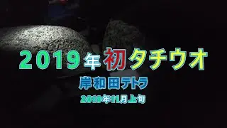 2019年初タチウオ