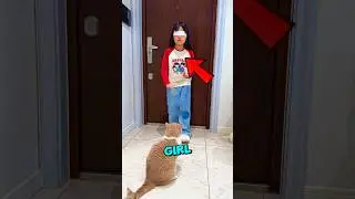 This Cat HELPED Her Girl Make A Doll 😻💜 