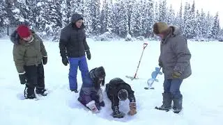 Get Culture  The Arctic  Go Getter 3