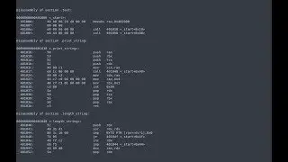 // Язык Ассемблера #8 [FASM, Linux, x86-64] //