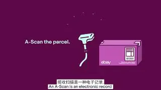 eBay CBT Shipping Flow, 2D Animation