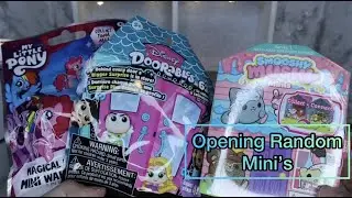 Opening Random Surprise Toys