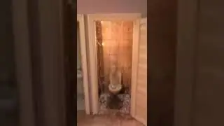 Не мешайте ментос с колой - LP ACADEMT HUMOR