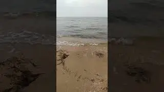 ☀️Анапа🏖️ Витязево 🌅Пляж🏝️Море🌄