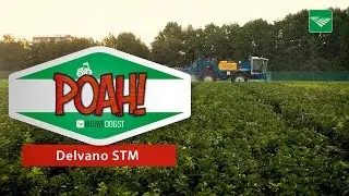 POAH! Delvano STM