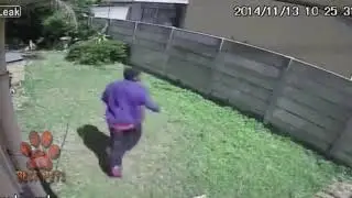 Best dog vs intruder compilation 1 Dogs attack and kill men Strongest dogs