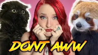 Try not to AWW Challenge | 32