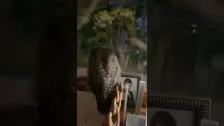 Просто смотрю на мир 🌏 