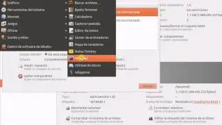 Linux Ubuntu RAID 1