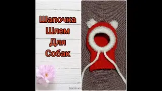 MK How to knit a hat for a toy terrier/Knitting a hat for a dog