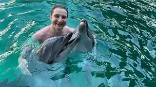 Дельфинарий в Лоо и плавание с дельфинами