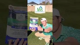 Grass Seed the Pros Use! - 