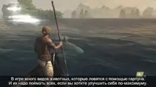 Assassin's Creed IV: Black Flag - Местность и возможности