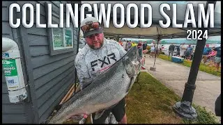 MASSIVE King Salmon Shocks Everyone at Collingwood Slam Derby!