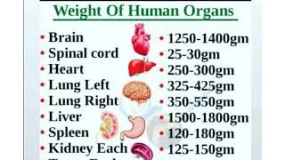 How emotions harm your body | weight of human organs #trending #shortvideo #students #standard