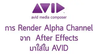 การ Render Alpha Channel จาก  After Effects มาใส่ใน AVID