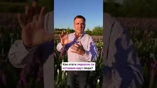 Как стать притягательным лидером, чем бы мы не занимались 