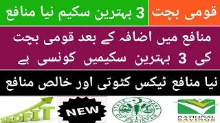 National Saving All Schemes Profit rate revised| All about NSC Profit rate Apr 2025| NSC Profit rate