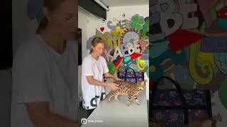 Фелинотерапия для детей и взрослых🐾 