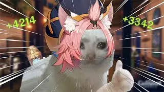 The Cat Bartender.exe | Diona | Genshin Impact