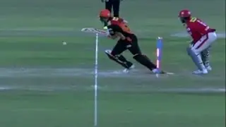 Warner Hit Wicket | IPL T20 2016