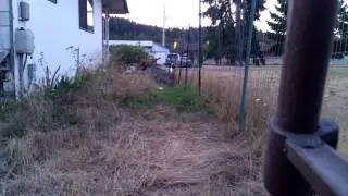GOG G1 Qloader Silencer new design test