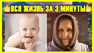 ВСЯ ЖИЗНЬ ЗА ТРИ МИНУТЫ 😱 А вы такое видели?