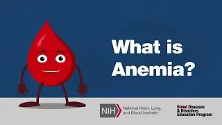 What is Anemia?
