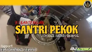 SANTRI PEKOK- JINGLE BANTENGAN 'SATRIO GEMPOL' RemixerBy DJ Andika