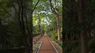 Hiking #Daily Exercise #Staycation #Shorts