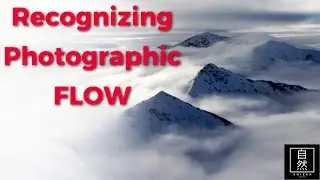 What Does Flow State Feel Like in Photography? Recognizing Photographic Flow