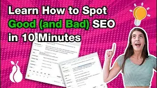SEO Audit Video Demonstration