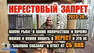 РЫБАЛКА В НЕРЕСТ Можно ли законно ловить рыбу в нерест в любых количествах? Ответ - МОЖНО И НУЖНО!